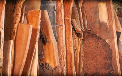 Tipi di legno per gli infissi: quale preferire e perchè.