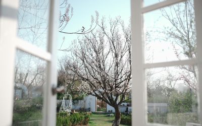 Infissi e primavera: cosa controllare prima che arrivi il caldo